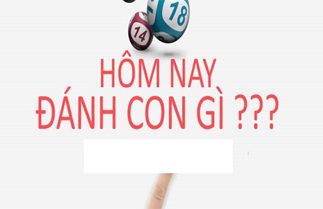 lô đẹp hôm nay víp